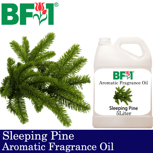 Aromatic Fragrance Oil (AFO) - Sleeping Pine - 5L