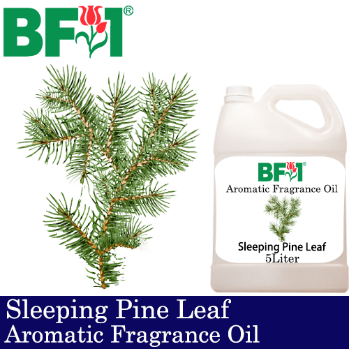 Aromatic Fragrance Oil (AFO) - Sleeping Pine Leaf - 5L