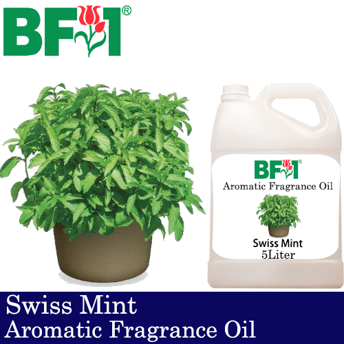 Aromatic Fragrance Oil (AFO) - Swiss Mint - 5L