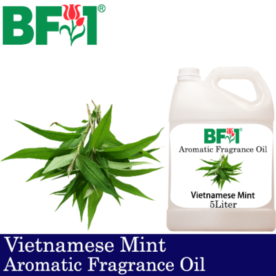 Aromatic Fragrance Oil (AFO) - Vietnamese Mint - 5L