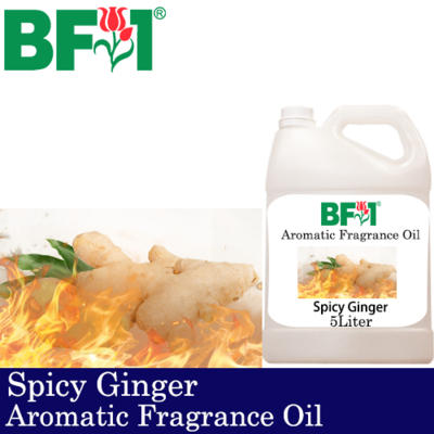 Aromatic Fragrance Oil (AFO) - Spicy Ginger - 5L Aromatic Fragrance Oil (AFO) - Spicy Ginger - 5L