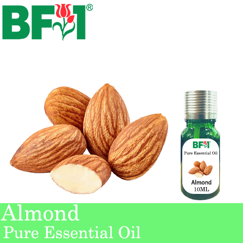 Pure Essential Oil (EO) - Almond Essential Oil - 10ml