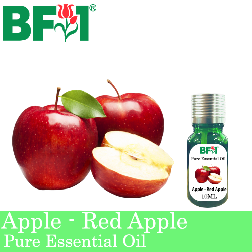 Pure Essential Oil (EO) - Apple - Red Apple Essential Oil - 10ml