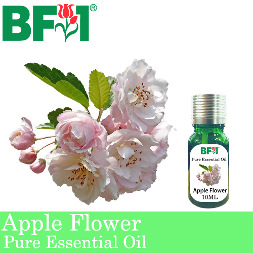 Pure Essential Oil (EO) - Apple Flower Essential Oil - 10ml