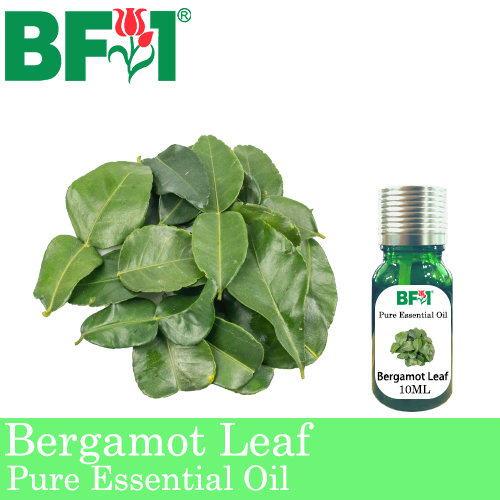 Pure Essential Oil (EO) - Bergamot Leaf Essential Oil - 10ml