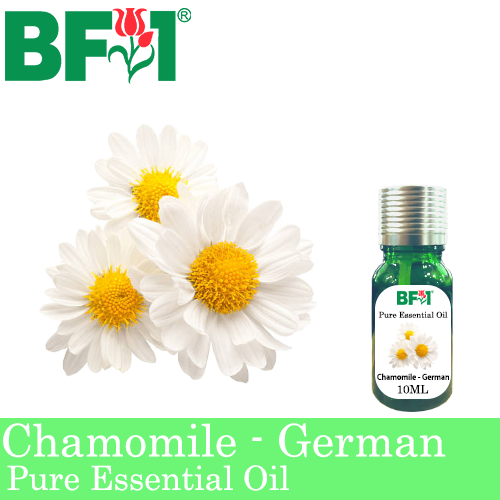 Pure Essential Oil (EO) - Chamomile - German Chamomile Essential Oil - 10ml