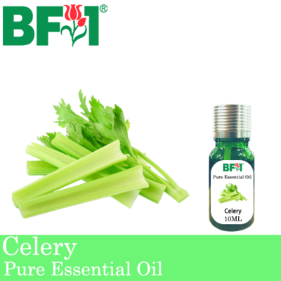 Pure Essential Oil (EO) -  Celery Essential Oil - 10ml