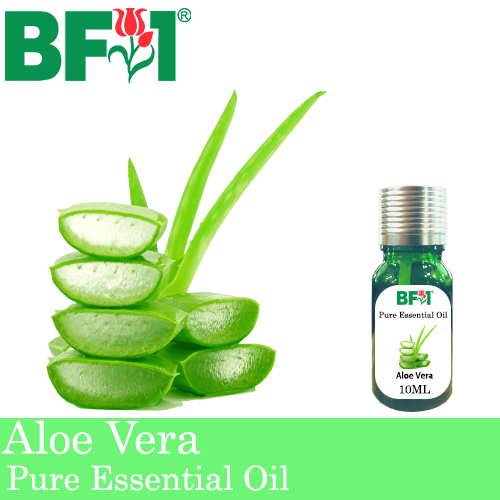 Pure Essential Oil (EO) - Aloe Vera Essential Oil - 10ml