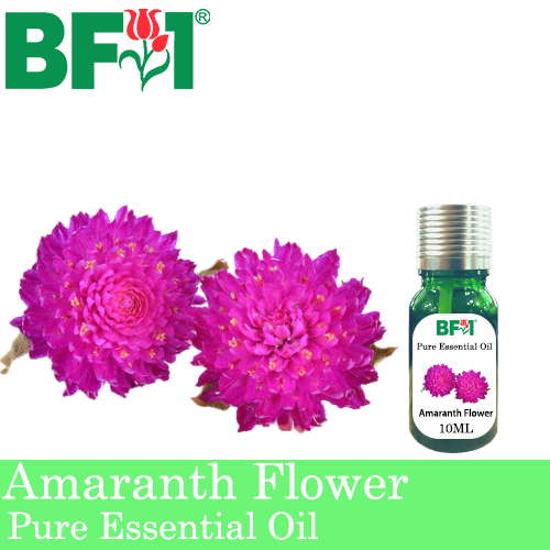 Pure Essential Oil (EO) - Amaranth Flower Essential Oil - 10ml