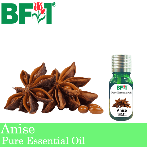 Pure Essential Oil (EO) - Anise Essential Oil - 10ml