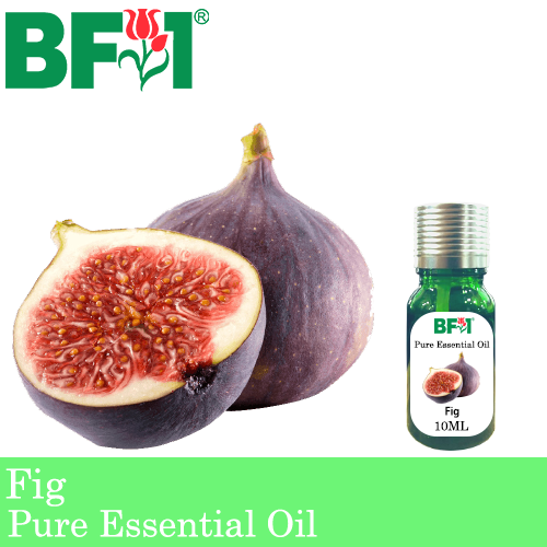 Pure Essential Oil (EO) - Fig Essential Oil - 10ml