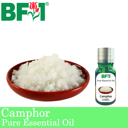 Pure Essential Oil (EO) - Camphor Essential Oil - 10ml