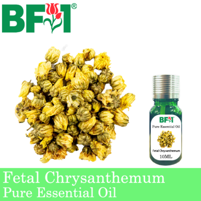 Pure Essential Oil (EO) - Fetal Chrysanthemum Essential Oil - 10ml