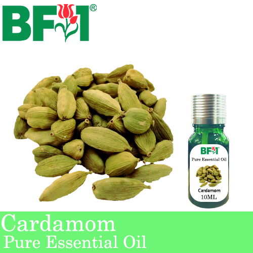 Pure Essential Oil (EO) - Cardamom Essential Oil - 10ml