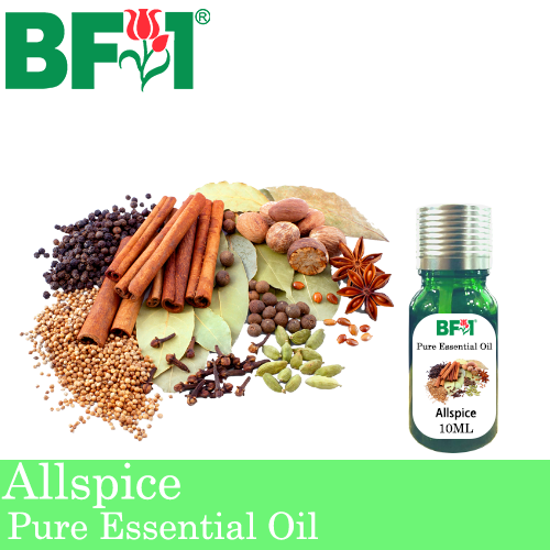 Pure Essential Oil (EO) - Allspice Essential Oil - 10ml