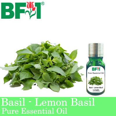 Pure Essential Oil (EO) - Basil - Lemon Basil ( Citriodorum Basil ) Essential Oil - 10ml