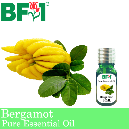 Pure Essential Oil (EO) - Bergamot Essential Oil - 10ml