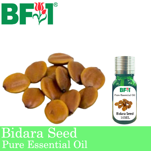 Pure Essential Oil (EO) - Bidara Seed ( Zizyphus Mauritiana ) Essential Oil - 10ml