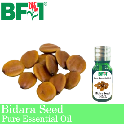 Pure Essential Oil (EO) - Bidara Seed ( Zizyphus Mauritiana ) Essential Oil - 10ml