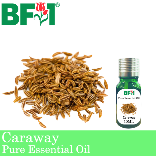 Pure Essential Oil (EO) - Caraway Essential Oil - 10ml
