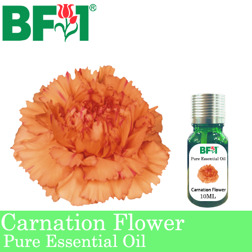 Pure Essential Oil (EO) - Carnation Flower Essential Oil - 10ml