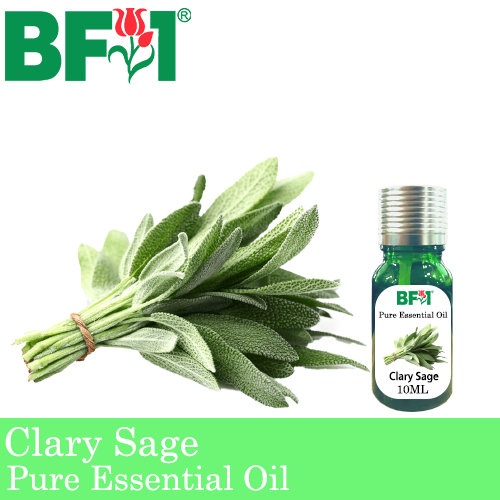 Pure Essential Oil (EO) - Clary Sage Essential Oil - 10ml