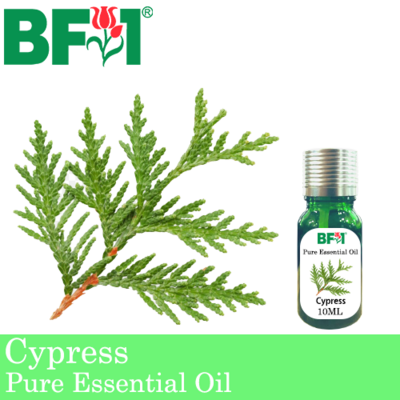 Pure Essential Oil (EO) - Cypress Essential Oil - 10ml