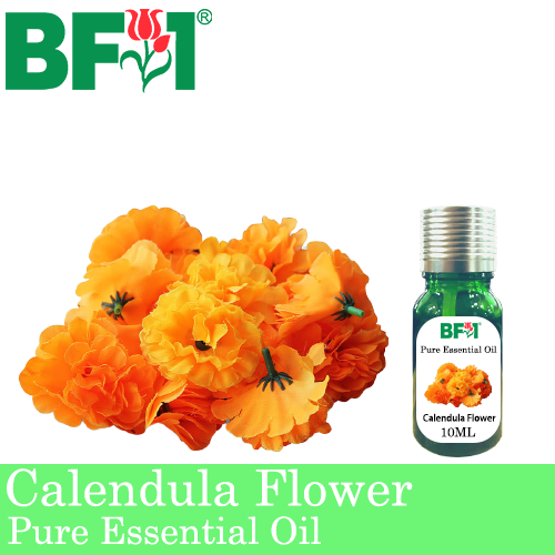 Pure Essential Oil (EO) - Calendula Flower Essential Oil - 10ml