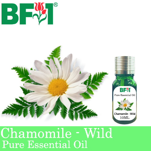 Pure Essential Oil (EO) - Chamomile - Wild Chamomile Essential Oil - 10ml