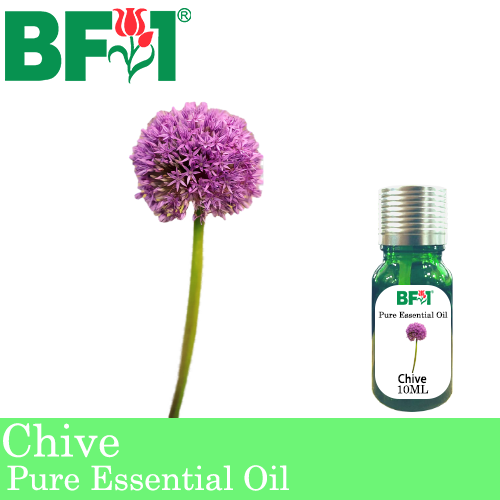 Pure Essential Oil (EO) - Chive ( Allium schoenoprasum L ) Essential Oil - 10ml