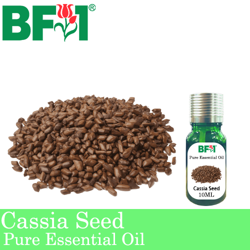 Pure Essential Oil (EO) - Cassia Seed Essential Oil - 10ml