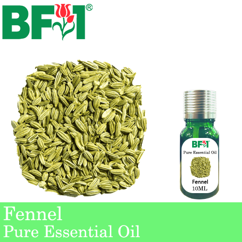 Pure Essential Oil (EO) - Fennel Essential Oil - 10ml
