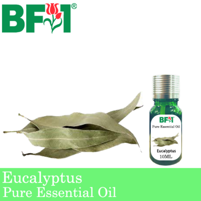 Pure Essential Oil (EO) - Eucalyptus Essential Oil - 10ml