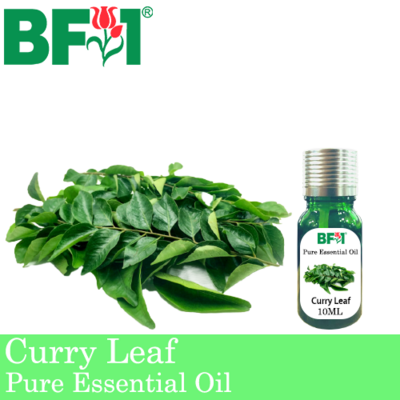 Pure Essential Oil (EO) - Curry Leaf Essential Oil - 10ml
