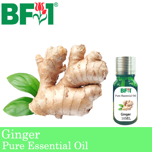 Pure Essential Oil (EO) - Ginger Essential Oil - 10ml