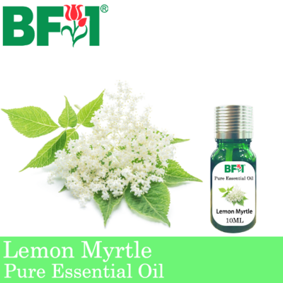 Pure Essential Oil (EO) - Lemon Myrtle Pure Essential Oil - 10ml