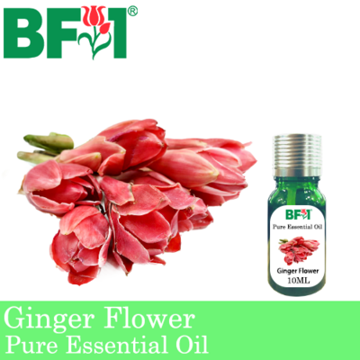 Pure Essential Oil (EO) - Ginger Flower Essential Oil - 10ml