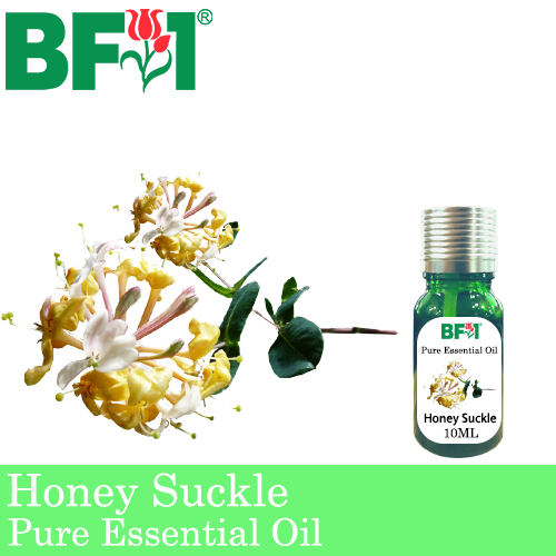 Pure Essential Oil (EO) - Honey Suckle Essential Oil - 10ml