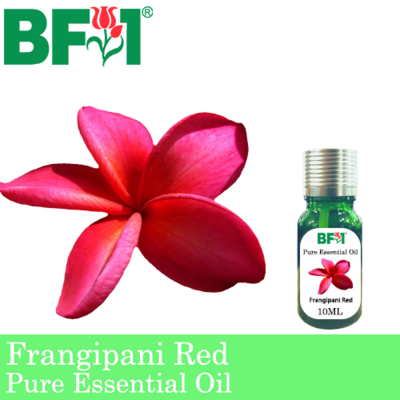 Pure Essential Oil (EO) - Frangipani Red Essential Oil - 10ml