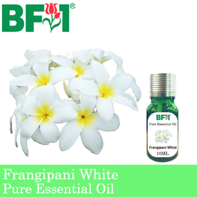 Pure Essential Oil (EO) - Frangipani White Essential Oil - 10ml