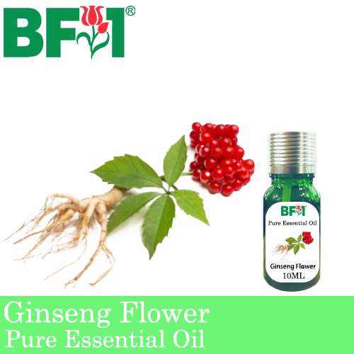 Pure Essential Oil (EO) - Ginseng Flower Essential Oil - 10ml