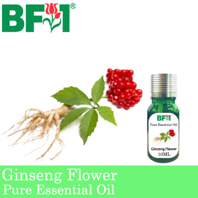 Pure Essential Oil (EO) - Ginseng Flower Essential Oil - 10ml