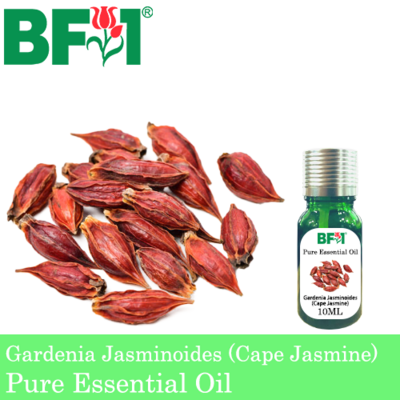 Pure Essential Oil (EO) - Gardenia Jasminoides (Cape Jasmine) Essential Oil - 10ml