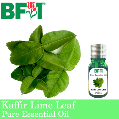 Pure Essential Oil (EO) - Lime - Kaffir Lime Leaf Essential Oil - 10ml
