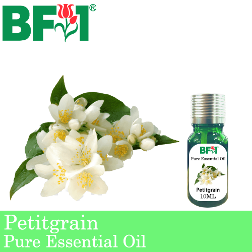 Pure Essential Oil (EO) - Petitgrain Essential Oil - 10ml