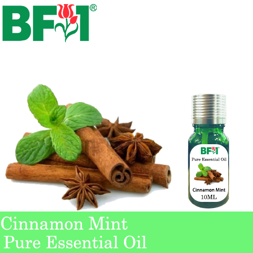 Pure Essential Oil (EO) - Mint - Cinnamon Mint Essential Oil - 10ml