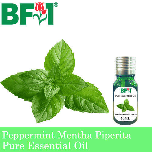 Pure Essential Oil (EO) - Mint - Peppermint ( Mentha Piperita ) Essential Oil - 10ml