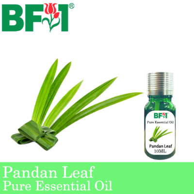 Pure Essential Oil (EO) - Pandan Leaf Essential Oil - 10ml