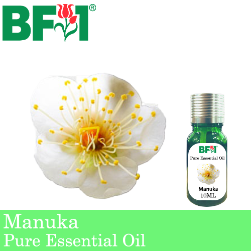 Pure Essential Oil (EO) - Manuka Essential Oil - 10ml