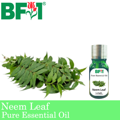 Pure Essential Oil (EO) - Neem Leaf Essential Oil - 10ml